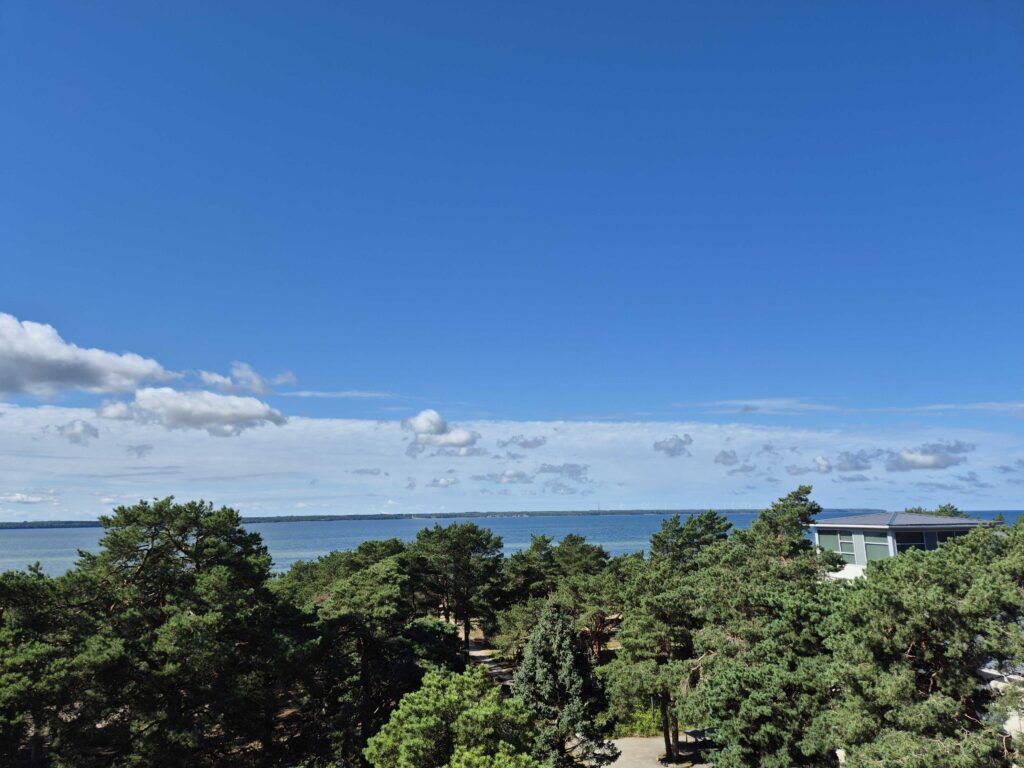 Telia Cyber Battle of Estonia ja Kübernaaskel 2025 televaataja mäng, küsimus 4